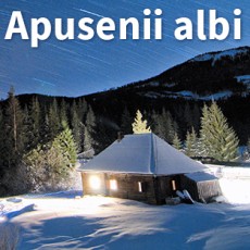 Apusenii Albi – Tura foto 21-23 februarie
